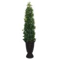 83" Silk Bayleaf Tower Vine Topiary with Planter