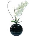 Real Touch White Vanda Orchid in Container
