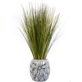 Onion Grass in Designer Ceramic Container