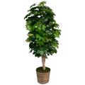 4' Realistic Umbrella Tree w/Planter