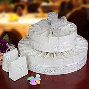 2 Tier Wedding Favor Cake Kit