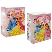 Princess Medium Gift Bag 2 Assorted