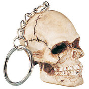 Skull Key Chain (Pack Of 12)