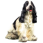 7" Dog - English Springer Spaniel Figurine