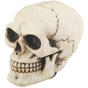 Skull Shift Knob