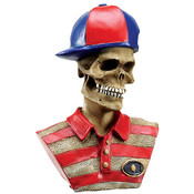 Collectible- Skull - Skater