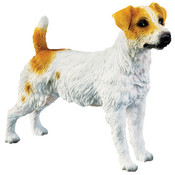 7" Jack Russell Terrier Figurine