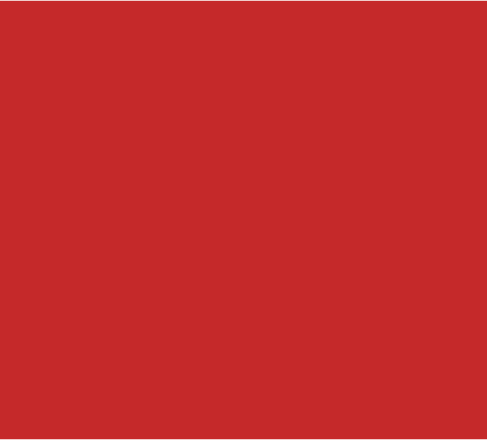 Wholesale Bazic 20" x 30" Red Foam Board(25x$1.26)