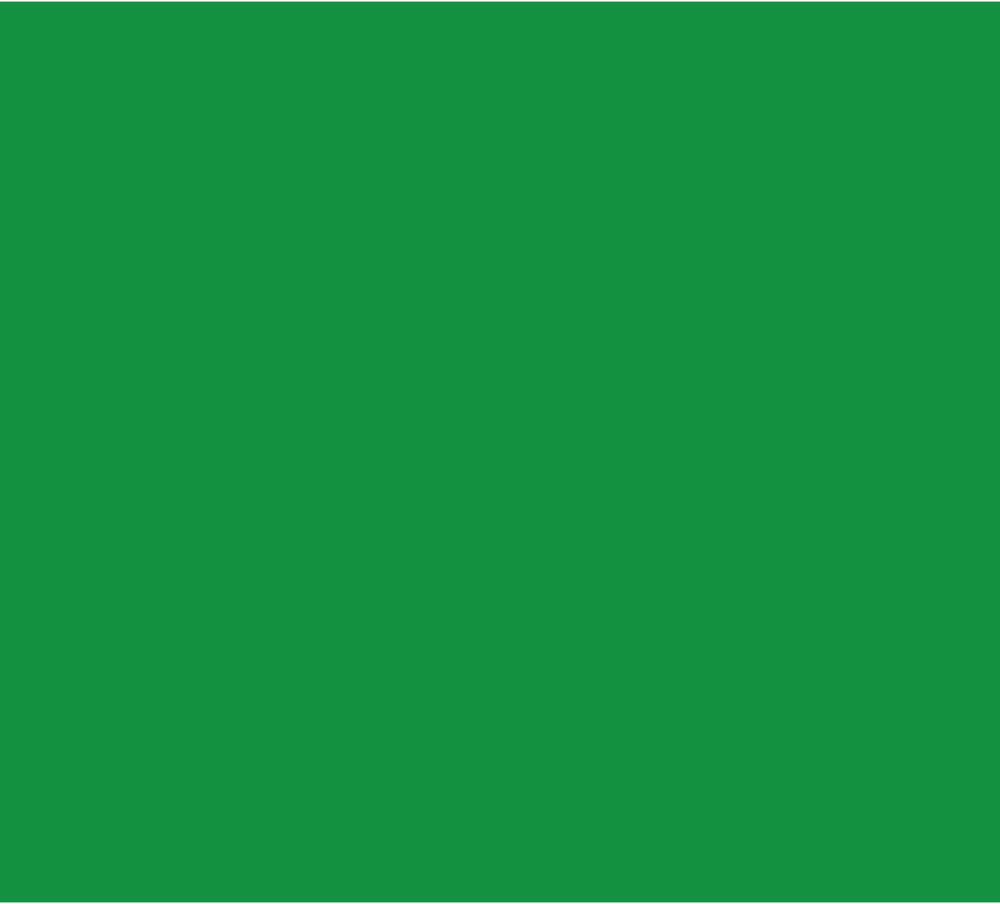 Wholesale Bazic 20" x 30" Green Foam Board(25x$1.26)