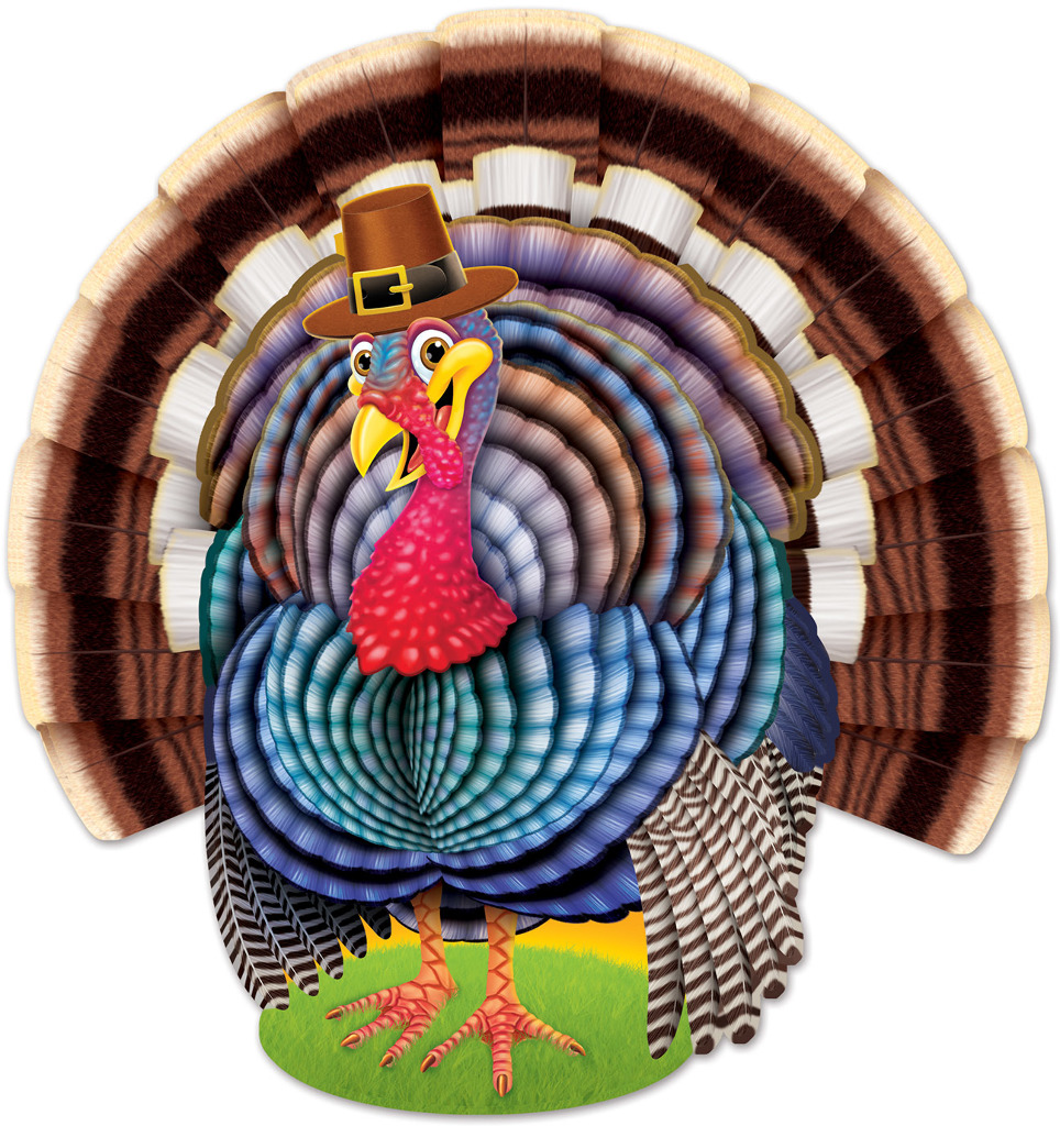 Wholesale Jointed Turkey | DollarDays