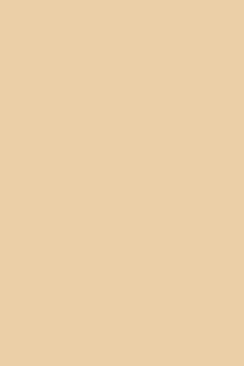 Wholesale 20" x 30" Light Beige Foam Board(25x$1.42)