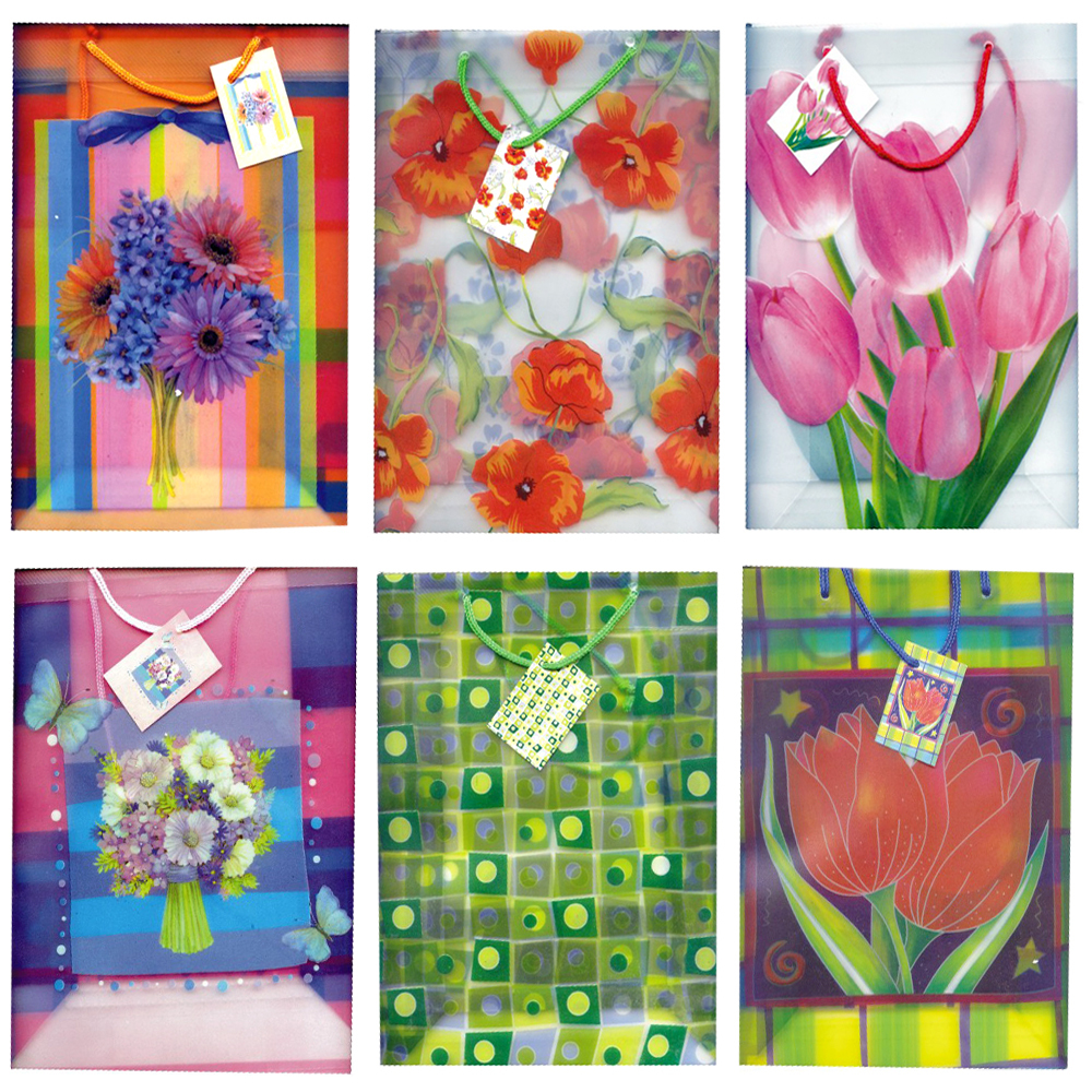 Premium Everyday Print Gift Bags, 17 3 / 4" x 13" x 4"(96x$0.95)