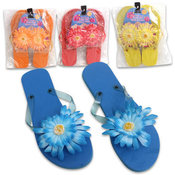 Wholesale Womens Flip Flops - Wholesale Womens Sandals - DollarDays