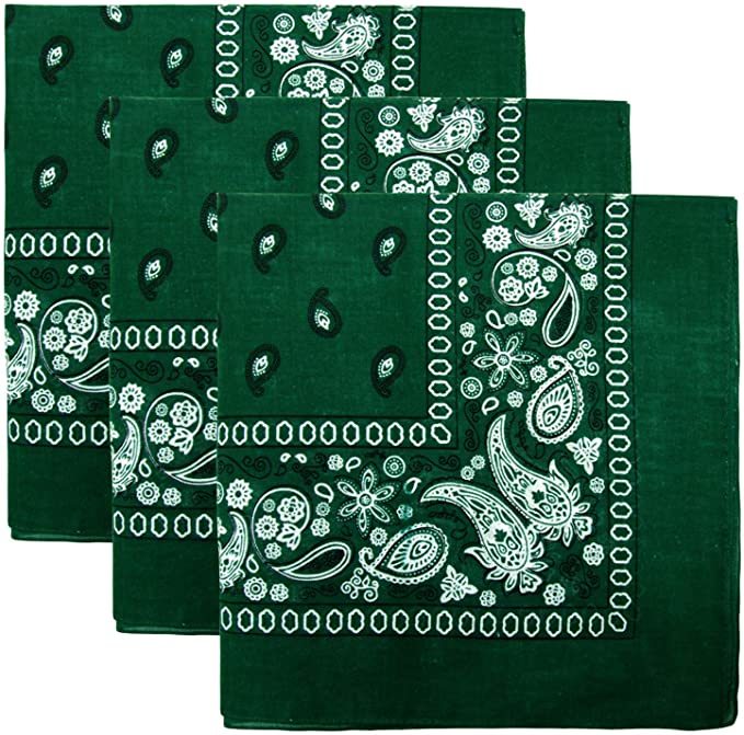 Bulk Wholesale Paisley Bandanas in Dark Green - DollarDays