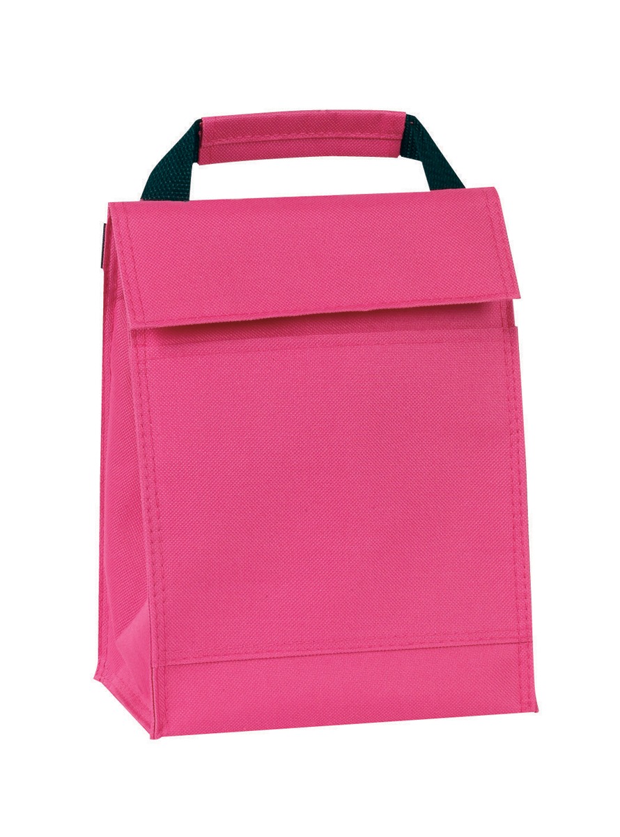 Wholesale Back To Basics 600 Denier Lunch Pack - Fuchsia