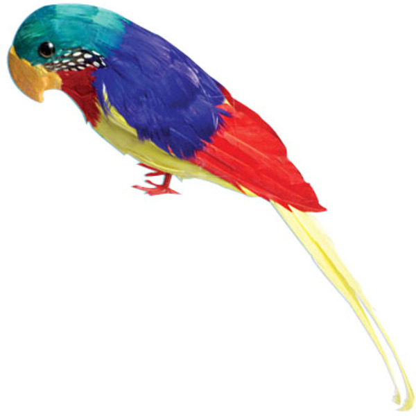 Wholesale Feather Parrots(10x$5.17)